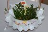 Filename=DSC_0652.JPG
Filesize=425KB
Dimensions=1024x682
Date added=Apr 09, 2018 DSC_0652.JPG